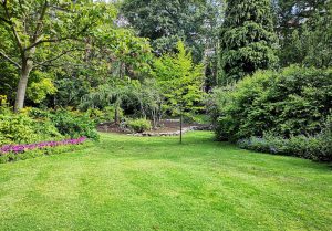 Optimiser l'expérience du jardin à Soulages-Bonneval